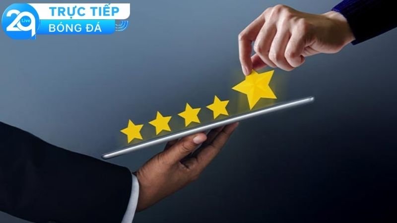 Các chứng chỉ, giấy phép và quy định pháp lý liên quan đến 2Q