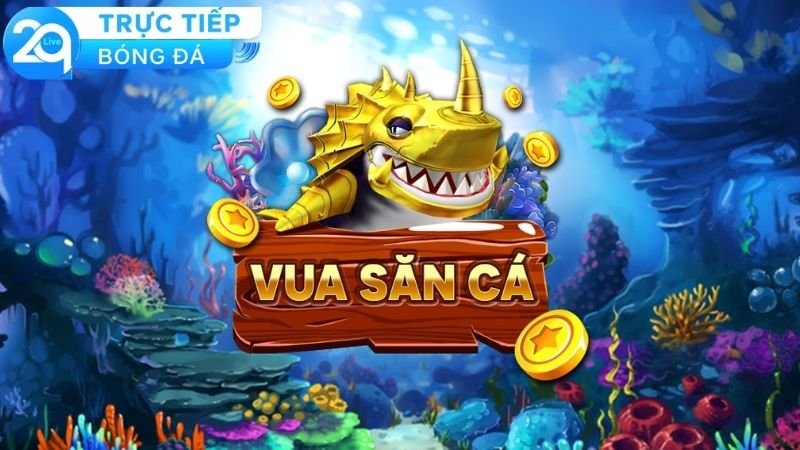 ban-ca-2q-doi-thuong