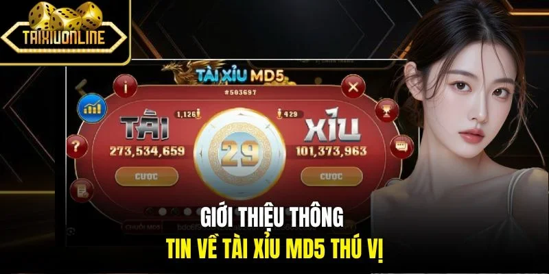 Giới thiệu thông tin về tài xỉu MD5 thú vị