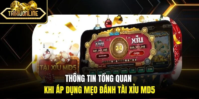 Thông tin tổng quan khi áp dụng mẹo đánh tài xỉu MD5