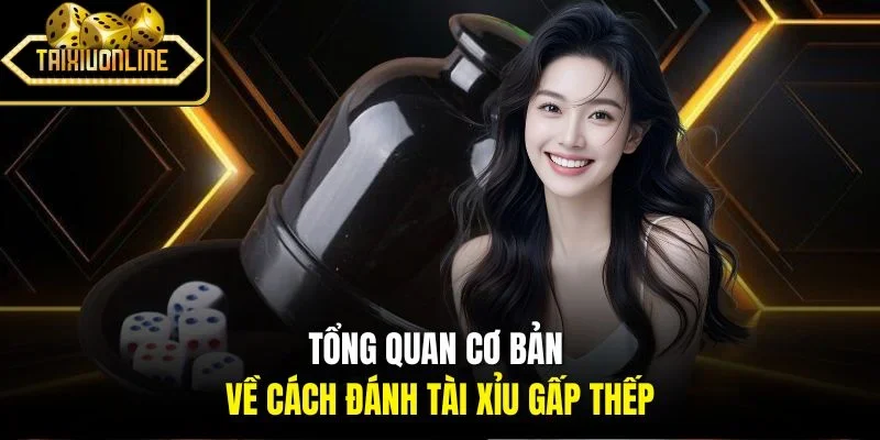 Tổng quan cơ bản về cách đánh tài xỉu gấp thếp